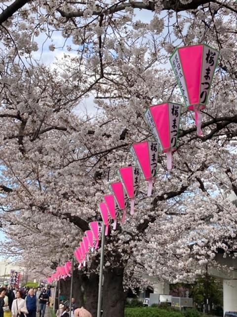 Sky Tree Inn Tokyo Ngoại thất bức ảnh