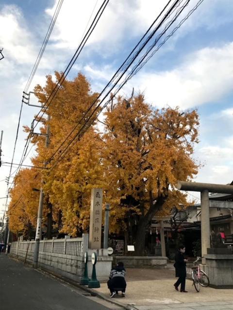 Sky Tree Inn Tokyo Ngoại thất bức ảnh