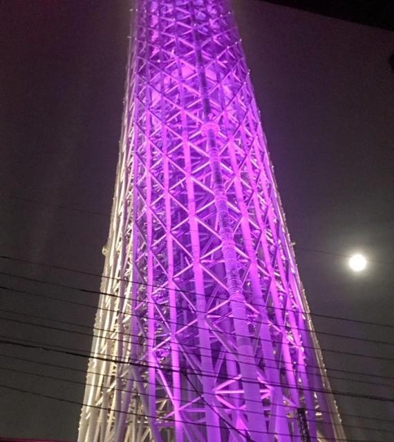 Sky Tree Inn Tokyo Ngoại thất bức ảnh