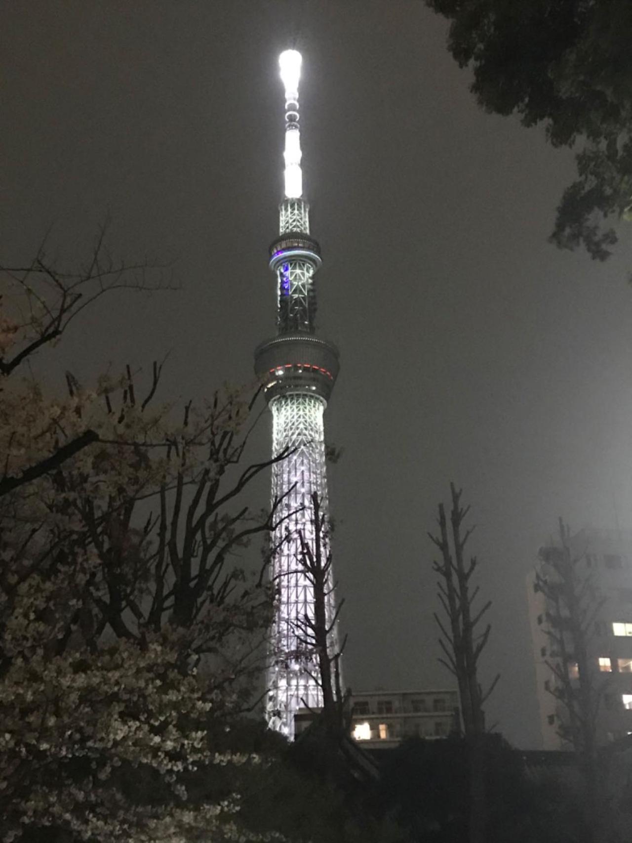 Sky Tree Inn Tokyo Ngoại thất bức ảnh