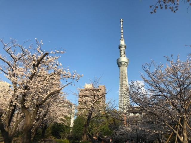 Sky Tree Inn Tokyo Ngoại thất bức ảnh