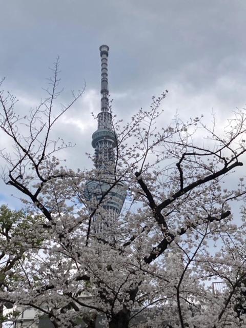 Sky Tree Inn Tokyo Ngoại thất bức ảnh